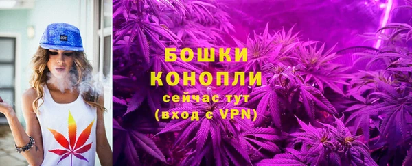 COCAINE Богородицк